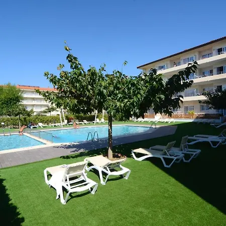 Festastar 209 Apartment